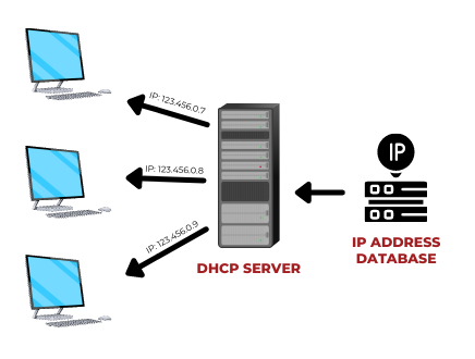 DHCP graphic